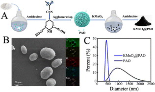 Graphical abstract: Polyamidoxime (PAO) granules for solar-enhanced uranium extraction from seawater