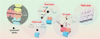 Graphical abstract: Multimodal biosensing systems based on metal nanoparticles