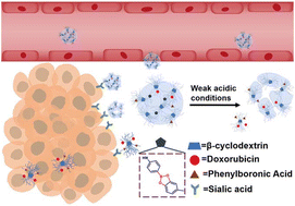 Graphical abstract: Acid-triggered size reduction of nanomedicines for enhancing tumor therapy efficacy