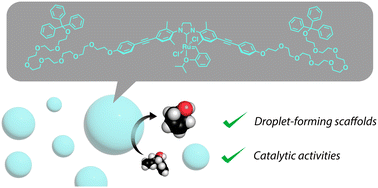 Graphical abstract: A bioinspired bifunctional catalyst: an amphiphilic organometallic catalyst for ring-closing metathesis forming liquid droplets in aqueous media