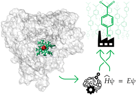 Graphical abstract: Machine learning-aided engineering of a cytochrome P450 for optimal bioconversion of lignin fragments