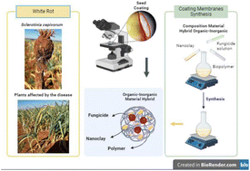 Graphical abstract: Enhanced white rot control in garlic bulbil using organic–inorganic hybrid materials as coating membranes