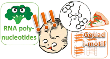 Graphical abstract: Exploring the interaction between a fluorescent Ag(i)-biscarbene complex and non-canonical DNA structures: a multi-technique investigation