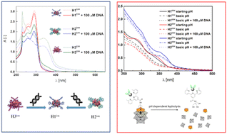 Graphical abstract: The effect of ionic versus covalent functionalization of polyoxometalate hybrid materials with coordinating subunits on their stability and interaction with DNA