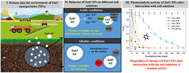 Graphical abstract: Impact of different soil solutions on the stability and photocatalytic activity of commercial zinc oxide nanoparticles