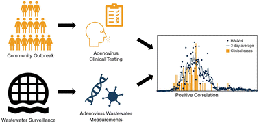 Graphical abstract: Respiratory human adenovirus outbreak captured in wastewater surveillance