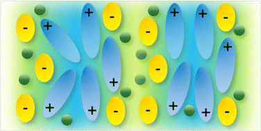 Graphical abstract: Concluding remarks: Dense ionic fluids: because sometimes, more is more