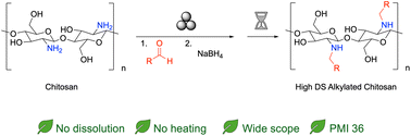 Graphical abstract: Mechanochemical and aging-based reductive amination with chitosan and aldehydes affords high degree of substitution functional biopolymers