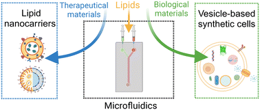 Graphical abstract: Microfluidic technologies for lipid vesicle generation