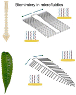 Graphical abstract: Design and simulation of biomimetic microfluidic designs to achieve uniform flow and DNA capture for high-throughput multiplexing