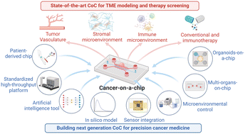 Graphical abstract: Cancer-on-a-chip for precision cancer medicine
