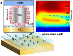 Graphical abstract: Probing Raman enhancements for a colloidal metasurface with optical gap distances in the quantum regime