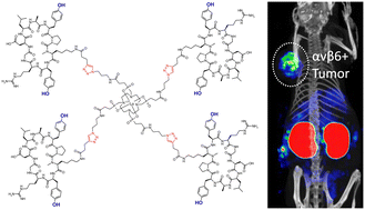 Graphical abstract: The importance of tyrosines in multimers of cyclic RGD nonapeptides: towards αvβ6-integrin targeted radiotherapeutics