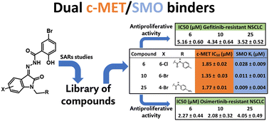 Graphical abstract: Discovery of N-substituted-2-oxoindolin benzoylhydrazines as c-MET/SMO modulators in EGFRi-resistant non-small cell lung cancer