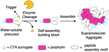 Graphical abstract: Molecular design for sub-micromolar enzyme-instructed self-assembly (EISA)