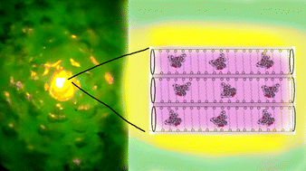 Graphical abstract: Ultrabright fluorescent particles via physical encapsulation of fluorescent dyes in mesoporous silica: a mini-review