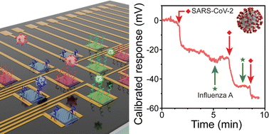 Graphical abstract: Nanoscale-localized multiplexed biological activation of field effect transistors for biosensing applications