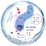 Graphical abstract: Local hydroxide ion enrichment at the inner surface of lacunaris perovskite nanotubes facilitates the oxygen evolution reaction