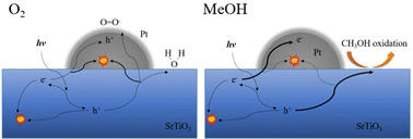 Graphical abstract: Photogenerated charge carrier dynamics on Pt-loaded SrTiO3 nanoparticles studied via transient-absorption spectroscopy
