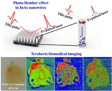 Graphical abstract: Terahertz biomedical imaging using a terahertz emitter based on InAs nanowires