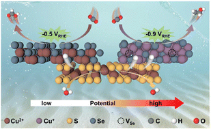 Graphical abstract: Potential-driven in situ formation of Se-vacancy-rich CuS@Cu2Se to steer the CO2 electroreduction path from HCOOH to C2H5OH