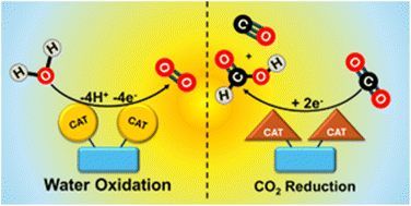 Graphical abstract: Multinuclear systems for photo-induced production of green fuels: an overview of homogeneous catalysts based on transition metals