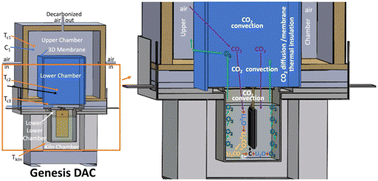 Graphical abstract: Direct air capture (DAC): molten carbonate direct transformation of airborne CO2 to durable, useful carbon nanotubes and nano-onions