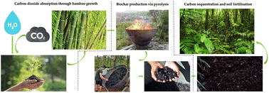 Graphical abstract: From bamboo to biochar: a critical review of bamboo pyrolysis conditions and products with a focus on relevance to the developing world
