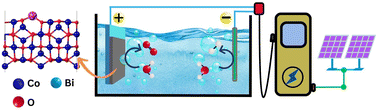 Graphical abstract: Improving the electrocatalytic activity of cobalt oxide with bismuth for acidic oxygen evolution reaction