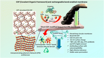 Graphical abstract: Tuning the surface charge and pore size of IPNs arrests covalent organic nanostructures through in situ exchangeable bonds for the removal of persistent contaminants
