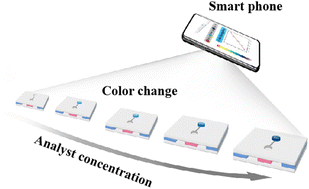 Graphical abstract: A separation-free paper-based hydrogel device for one-step reactive oxygen species determination by a smartphone