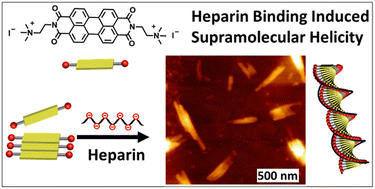 Graphical abstract: Heparin binding induced supramolecular chirality into the self-assembly of perylenediimide bolaamphiphile