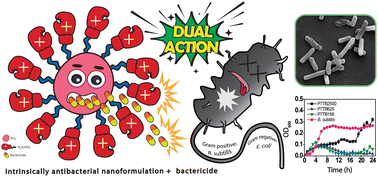 Graphical abstract: Soft nanoparticles as antimicrobial agents and carriers of microbiocides for enhanced inhibition activity