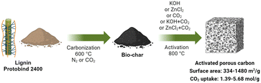 Graphical abstract: Sustainable synthesis of activated porous carbon from lignin for enhanced CO2 capture: a comparative study of physicochemical activation routes