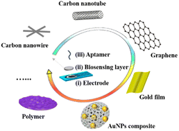 Graphical abstract: Nanomaterial-modified electrochemical aptasensors for tetracycline detection: a review