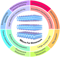 Graphical abstract: Recent advances in biosensors based on the electrochemical properties of MXenes
