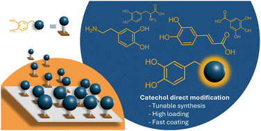 Graphical abstract: Catechol modification as a platform for functional coatings