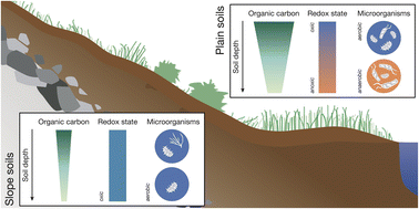 Graphical abstract: Emerging investigator series: metagenomic insights into microbial controls of carbon cycling in alpine soils