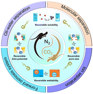 Graphical abstract: CO2-responsive membrane separation systems: a green solution for efficient separations