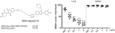 Graphical abstract: Topical BET PROTACs for locally restricted protein degradation in the lung