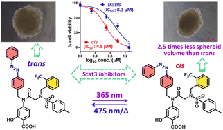 Graphical abstract: Photoswitchable Stat3 inhibitors: design, synthesis and anticancer activity study on 2D and 3D breast cancer cell cultures
