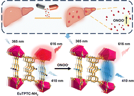 Graphical abstract: An amino-functionalized lanthanide-organic framework for ratiometric detection of ONOO−