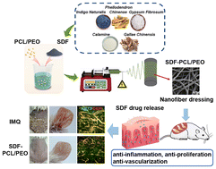 Graphical abstract: Electrospun natural product-based Shidu Formula for the management of psoriasis