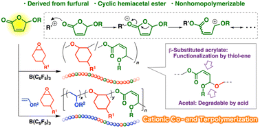 Graphical abstract: Furfural-derived 5-alkoxy-2(5H)-furanones as cationically copolymerizable cyclic hemiacetal esters