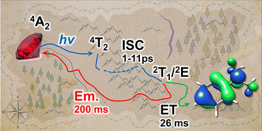 Graphical abstract: Unraveling the photoredox chemistry of a molecular ruby