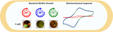 Graphical abstract: Carbonised porous silicon as scaffold and sensor for the electrochemical detection and characterisation of bacterial biofilm growth
