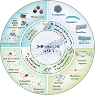 Graphical abstract: Self-assembled nanostructured antimicrobial peptides: design strategies, structures, mechanism and therapeutic applications