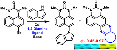 Graphical abstract: Unexpected pyrazine ring annulation in the Cu-catalyzed reaction of aryl bromides with 1,2-diamines. Synthesis of novel pyrazino[2,3-f]perimidine fluorophores