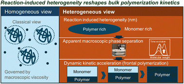 Graphical abstract: Recent progress in bulk polymerization: spatiotemporally discontinuous change of polymerization accompanied by phase separation