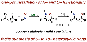 Graphical abstract: Direct introduction of nitrogen and oxygen functionality with spatial control using copper catalysis